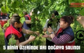 5 Binin Üzerinde Arı Doğaya Salındı