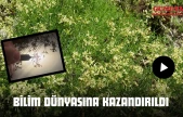 5 Yıllık Çalışmayla Bilim Dünyasına Kazandırıldı