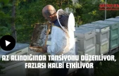 Az Alındığında Tansiyonu Düzenliyor, Fazlası Kalbi Etkiliyor