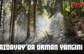Azdavay'da Orman Yangını