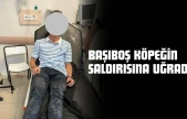Başıboş Köpeğin Saldırısına Uğradı