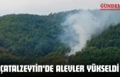 Çatalzeytin'de Alevler Yükseldi