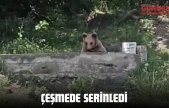 Çeşmede Serinledi