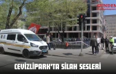 Cevizlipark'ta Silah Sesleri