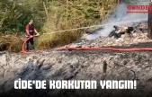 Cide'de Korkutan Yangın!