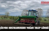 Deneme Amaçlı Ekildi, Gelir Kapısına Dönüştü