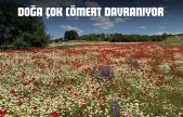 Doğa Çok Cömert Davranıyor