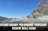 Eflani-Daday Yolundaki Yangının Nedeni Belli Oldu