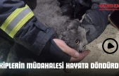 Ekiplerin Müdahalesi Hayata Döndürdü