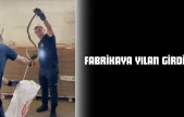 Fabrikaya Yılan Girdi!