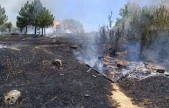 Hızlı Müdahale Yangını Söndürdü