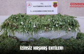 İzinsiz Haşhaş Ektiler!