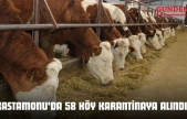 Kastamonu'da 58 Köy Karantinaya Alındı!