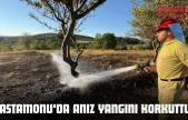 Kastamonu'da Anız Yangını Korkuttu!
