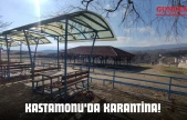Kastamonu'da Karantina!
