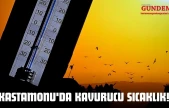 Kastamonu'da Kavurucu Sıcaklık!