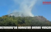 Kastamonu'da Korkutan Orman Yangını!