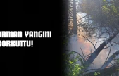 Kastamonu'da Orman Yangını Korkuttu