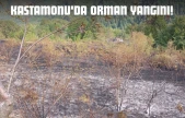 Kastamonu'da Orman Yangını!
