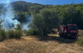 Kastamonu'da Ormanlık Alanda Yangın