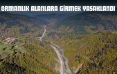 Kastamonu'da Ormanlık Alanlara Girmek Yasaklandı