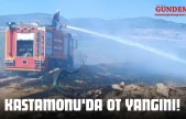 Kastamonu'da Ot Yangını!