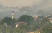 Kastamonu'daki Orman Yangını Köye Ulaştı