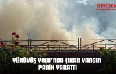 Kastamonu Yürüyüş Yolu'nda Çıkan Yangın Panik Yarattı