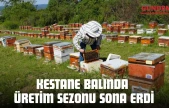 Kestane Balında Üretim Sezonu Sona Erdi