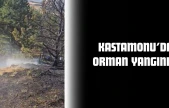 Ormanlık Alanda Yangın