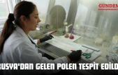 Rusya'dan Gelen Polen Tespit Edildi