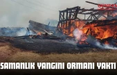 Samanlık Yangını Ormanı Yaktı