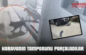 Sokak Köpekleri Karavanın Tamponunu Parçaladı