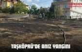 Taşköprü'de Anız Yangını
