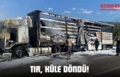 Tır, Küle Döndü!