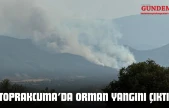 Toprakcuma'da Orman Yangını Çıktı