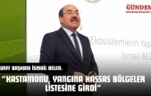 UNFF Başkanı İsmail Belen: 'Kastamonu, Yangına Hassas Bölgeler Listesine Girdi'