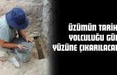 Üzümün Tarihi Yolculuğu Gün Yüzüne Çıkarılacak
