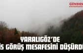 Yaralıgöz'de Sis Görüş Mesafesini Düşürdü