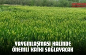 Yaygınlaşması Halinde Önemli Katkı Sağlayacak