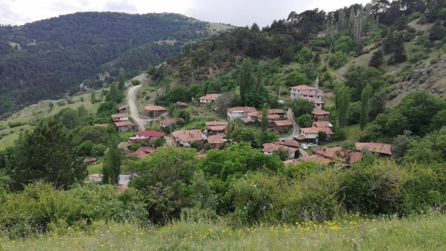 Bu köyde bütün oylar Erdoğan'a verildi