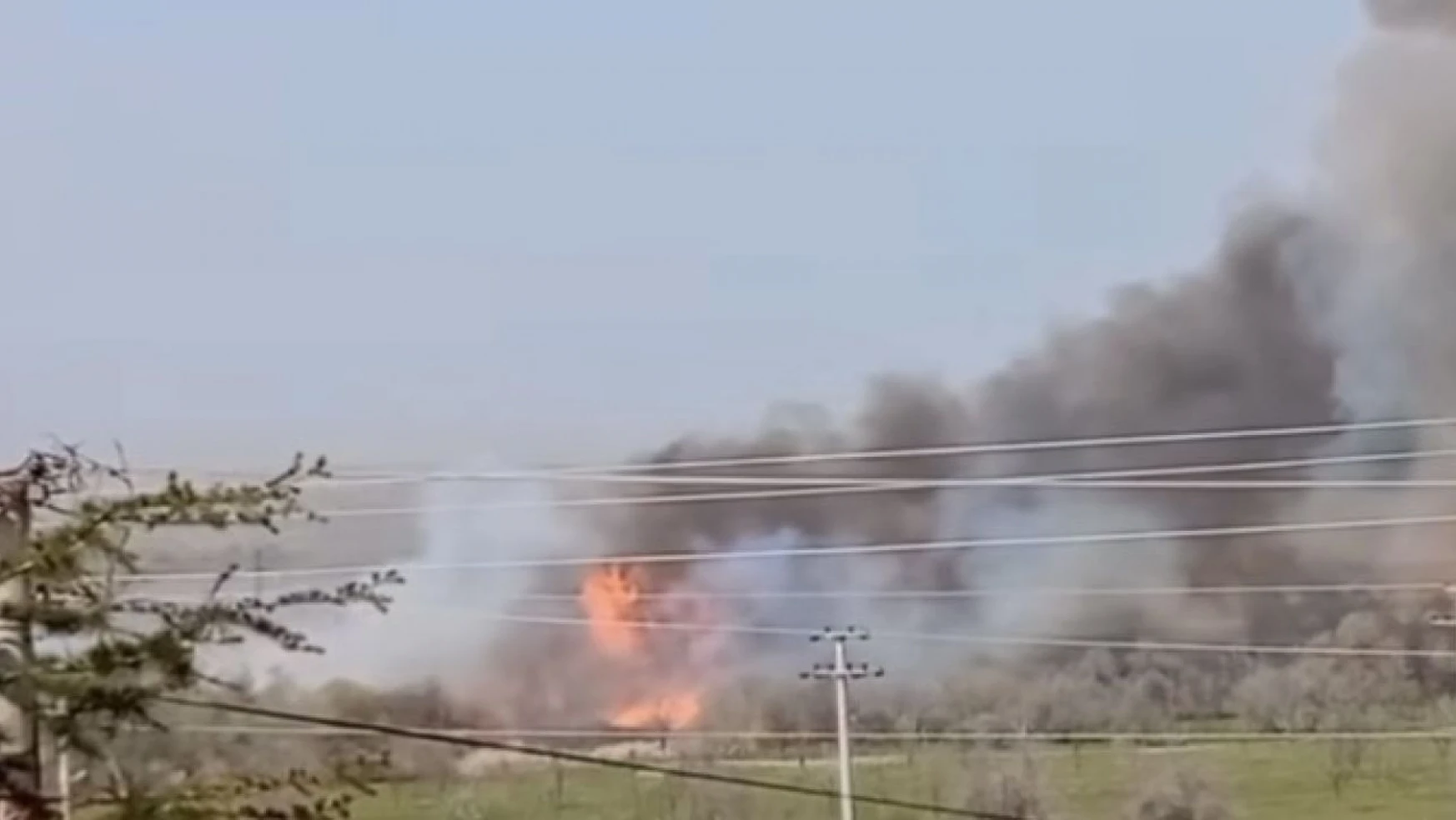 Çankırı'da Orman Yangını
