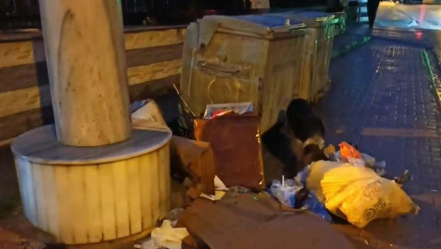 Kastamonu Cide Belediyesi'nden çöp uyarısı