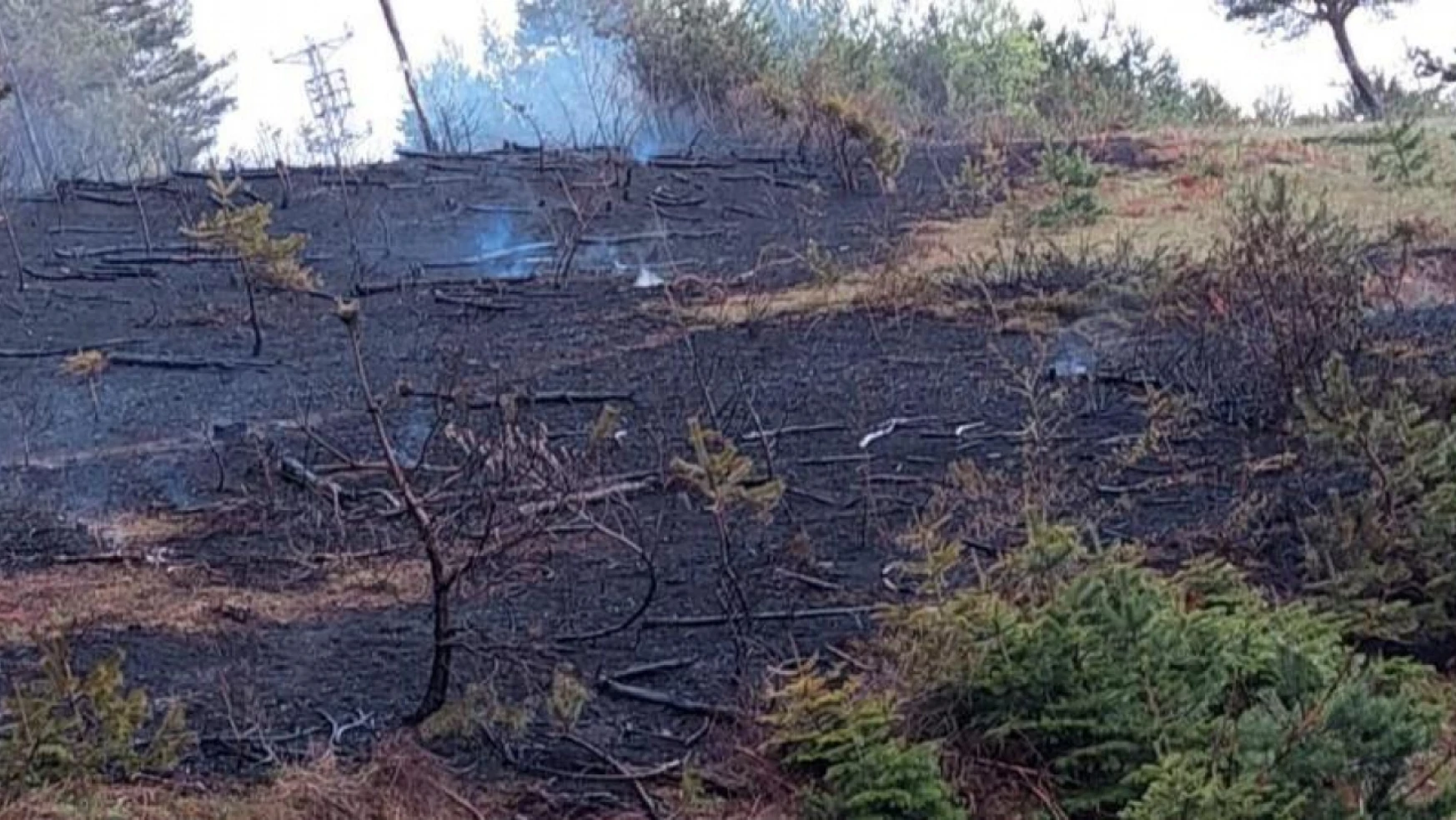 Ormanda Çıkan Yangın Büyümeden Söndürüldü