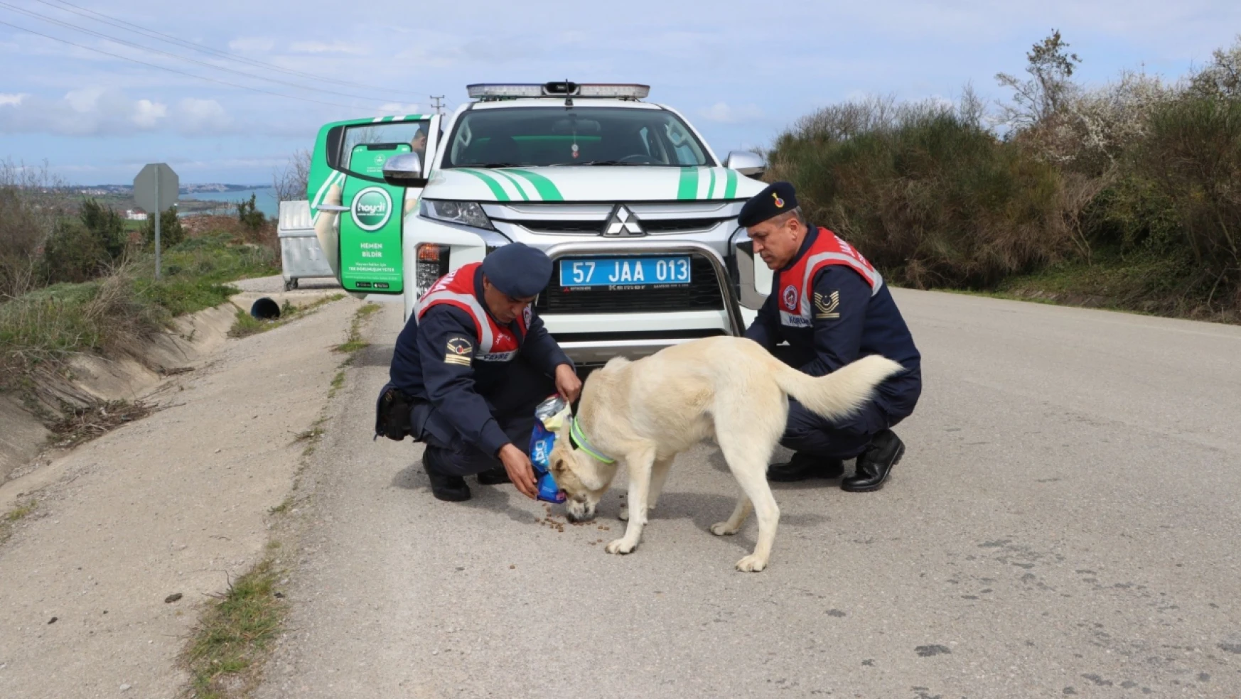 Sinop HAYDİ sokak hayvanlarını unutmadı