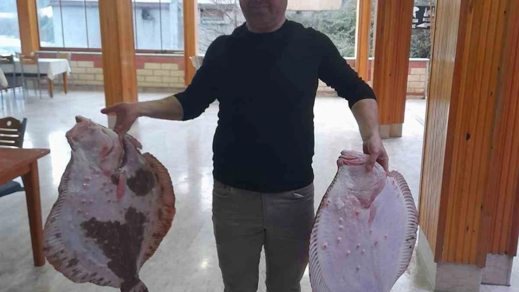 Türkeli'de 10 Kilogramlık Kalkan Balığı Yakalandı