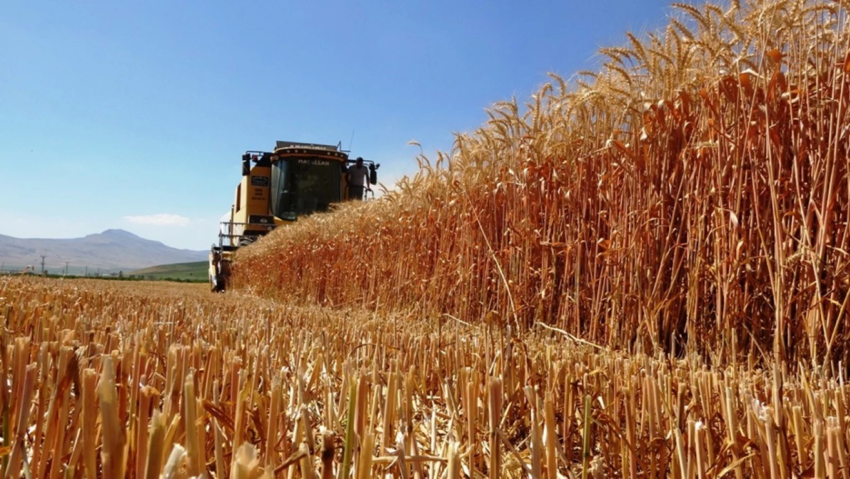 TZOB Başkanı Bayraktar: Buğdayın Maliyeti Geçen Yıla Göre Yüzde 62 Arttı