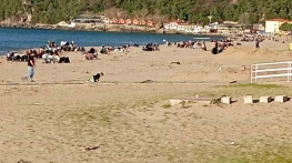 Sıcaklığın 28 Dereceye Çıktığı Bartın'da Plaj Ve Parklar Doldu