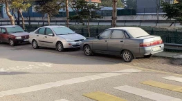 Çimler Ve Otomobil Camları Buz Tuttu