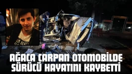 Ağaca Çarpan Otomobilde Sürücü Hayatını Kaybetti